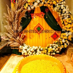 Haldi Decor With Pampass